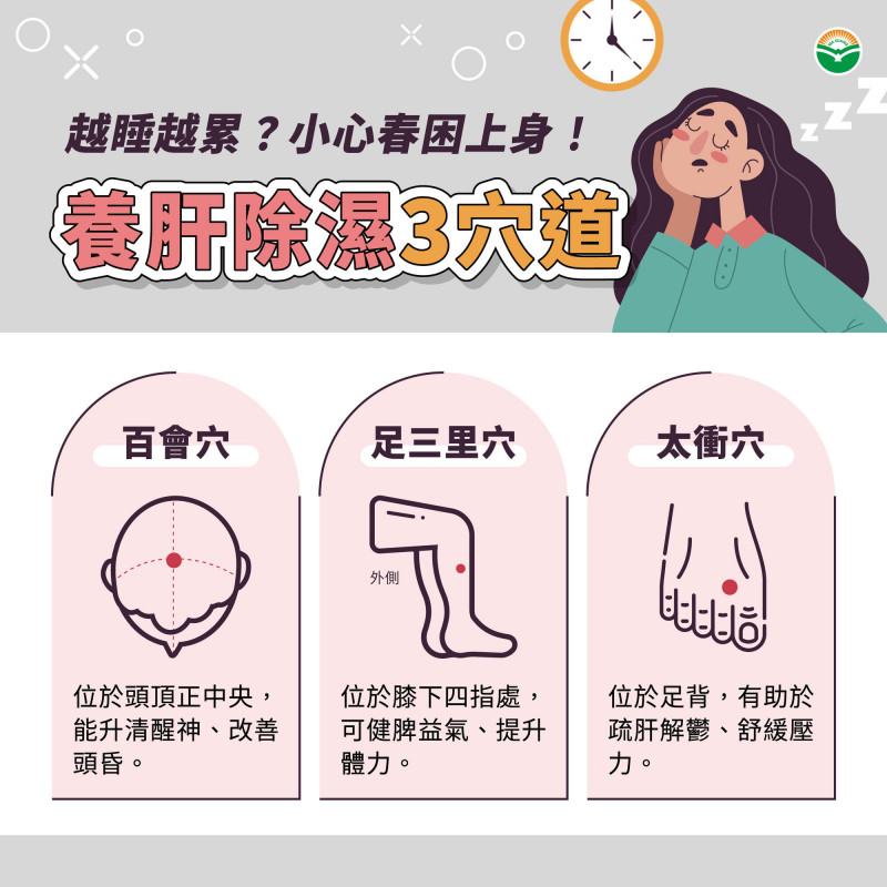 thumb_1774436283587.jpg