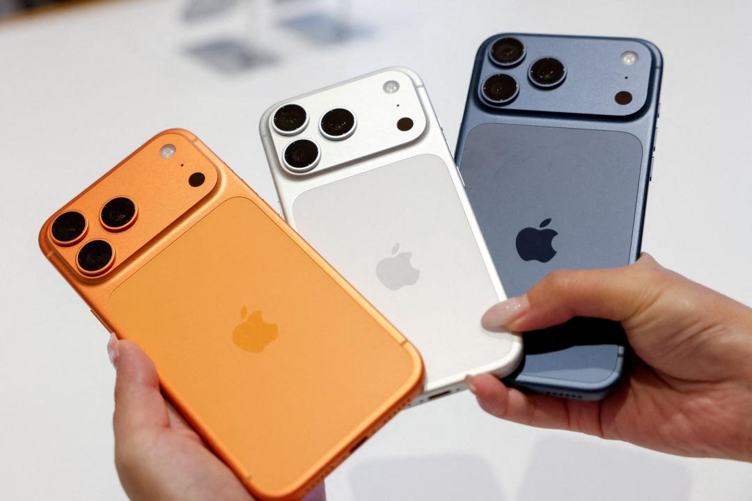 thumb_1774684289296.jpg